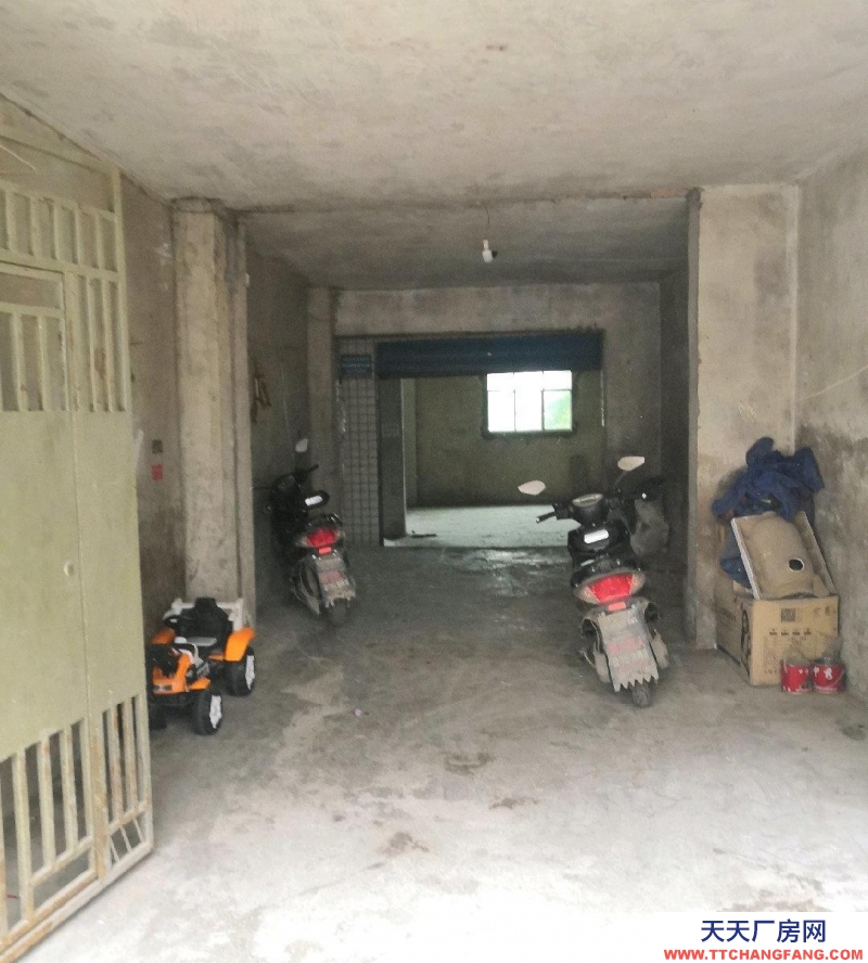 (出租) 金关钢材市场附近库房出租
