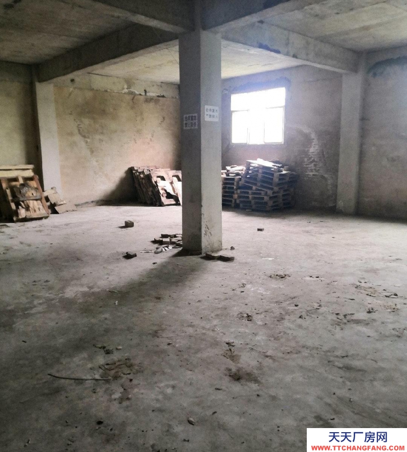 (出租) 金关钢材市场附近库房出租