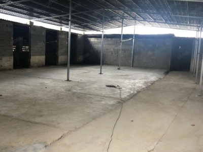 (出租) 白云区2500平厂房仓库出租图3
