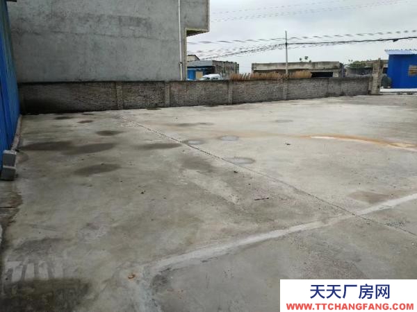 (出租) 县道旁边，比邻高速，交通便利，水电齐全
