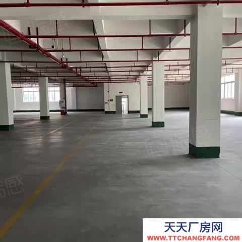 (出租) 汽博中心三亚湾附近2000库房出租
