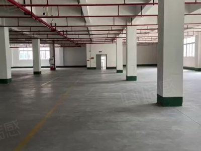 (出租) 汽博中心三亚湾附近2000库房出租图1
