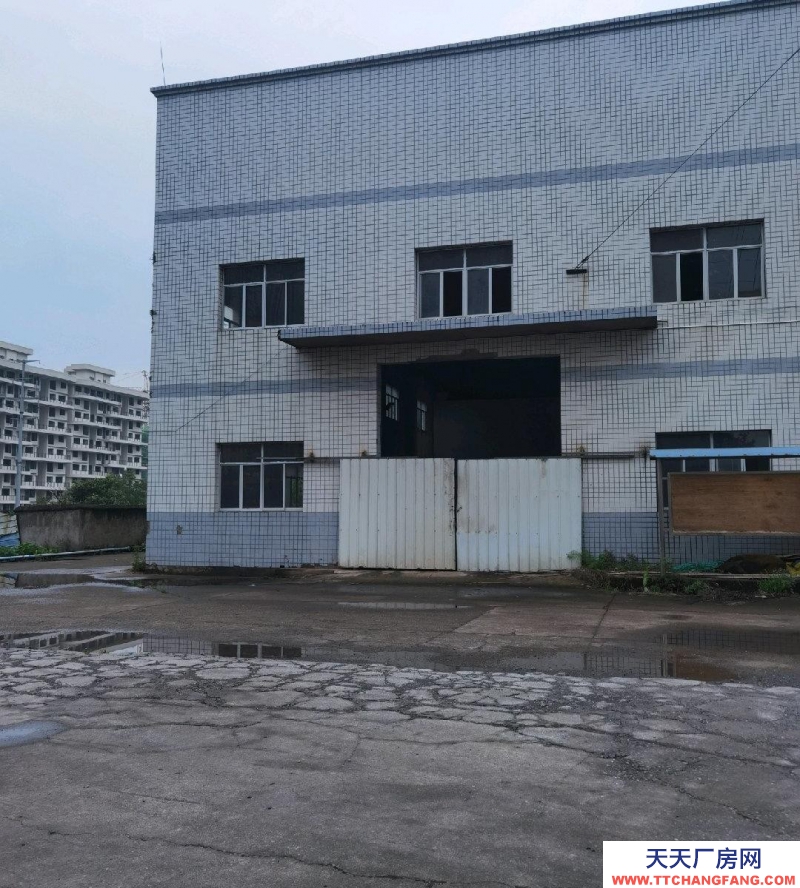 (出租) 赤水下高速路口，之前是造纸厂