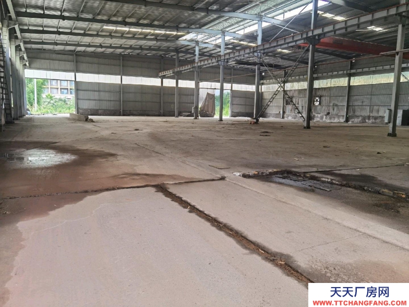 (出租) 赤水下高速路口，之前是造纸厂