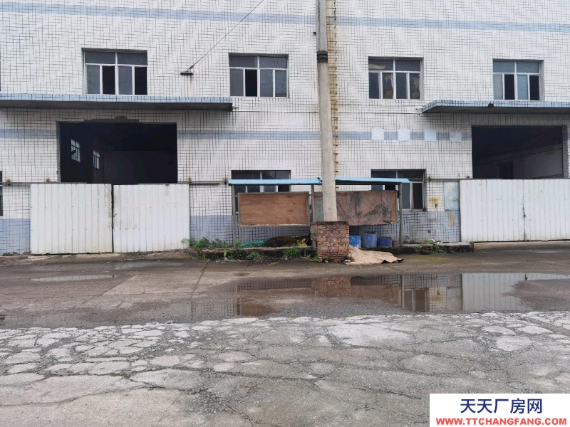 (出租) 赤水下高速路口，之前是造纸厂