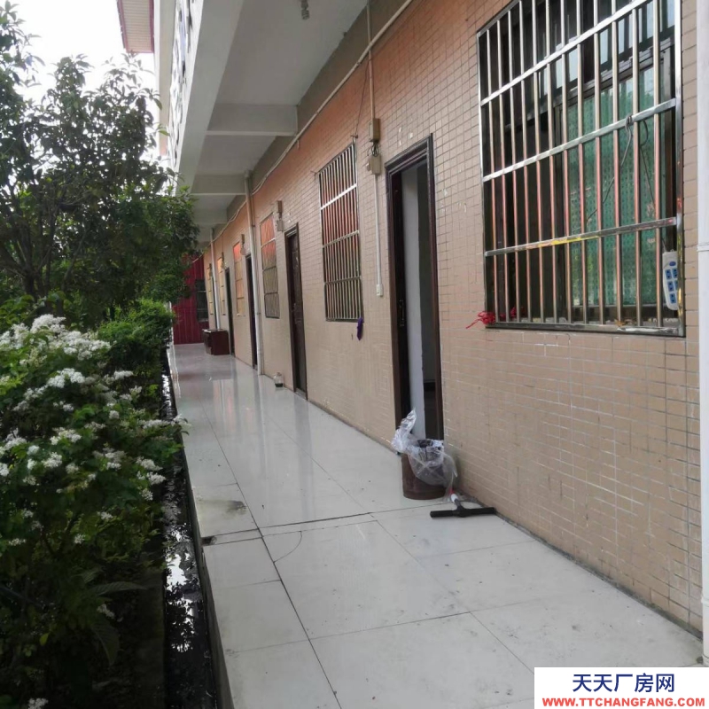 (出租) 出租关岭关岭城区仓储仓库