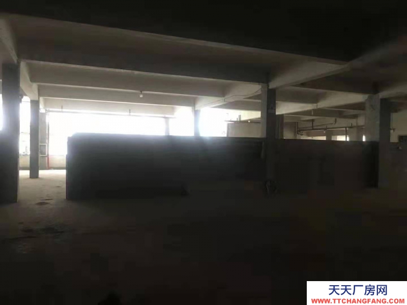 (出租) 出租内环路遵义农资市场内二楼仓库