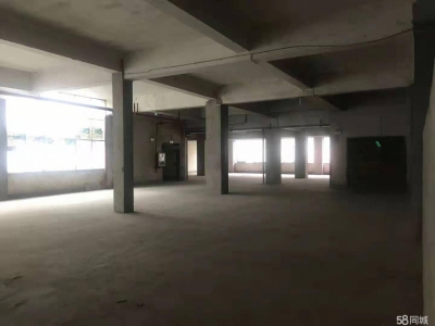 (出租) 出租内环路遵义农资市场内二楼仓库图5