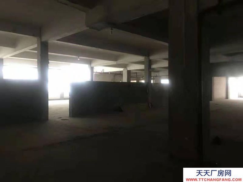 (出租) 出租内环路遵义农资市场内二楼仓库