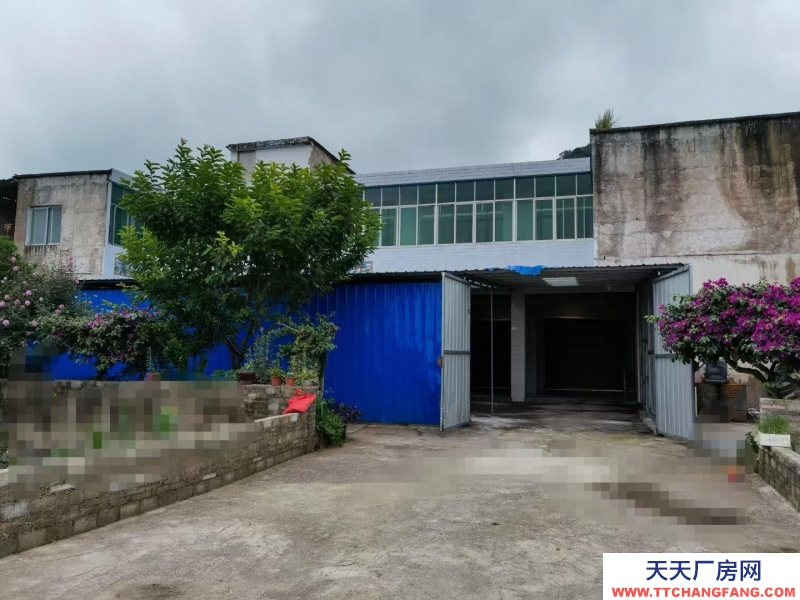 (出租) 位于顶云新城岭秀国际对面（格佬地），往永宁方向50米处右转