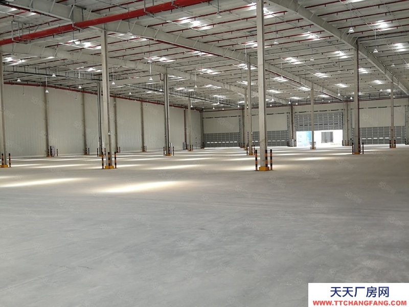 (出租) 渝北区空港15000平独栋高标库招租，紧邻高速，灵活分租