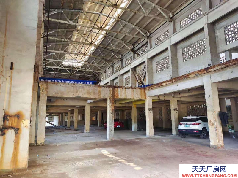 (出租) 出租国际商贸城后的 仓库、冷库，大小仓库都有。