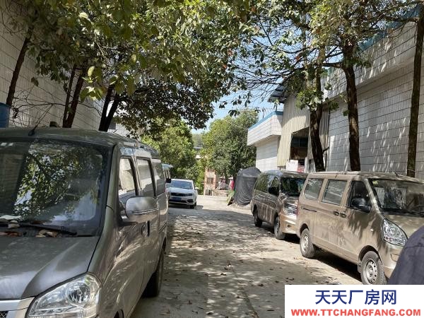 标准厂房，全部是一楼.适合各类企业