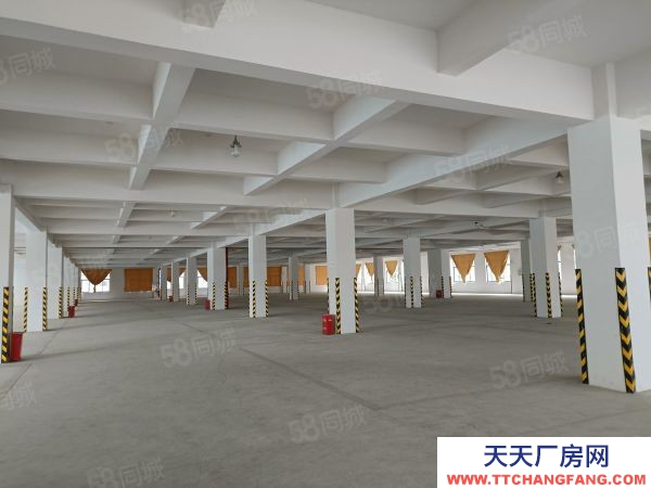 (出售) （首层8.1米）标准结构厂房出售 有产权，可定制