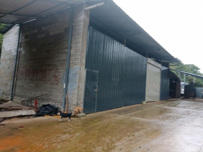 (出租) 本场地可规模养殖牛，农产品加工，房内可建冷库及食用菌加工房图1
