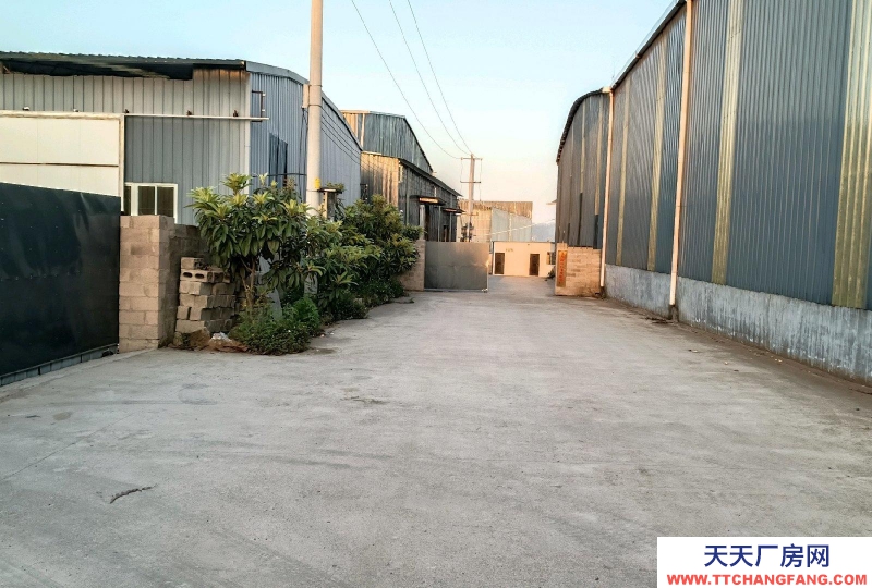 (出租) 厂房1200平方左右，场地4亩，独门独院，可分割。