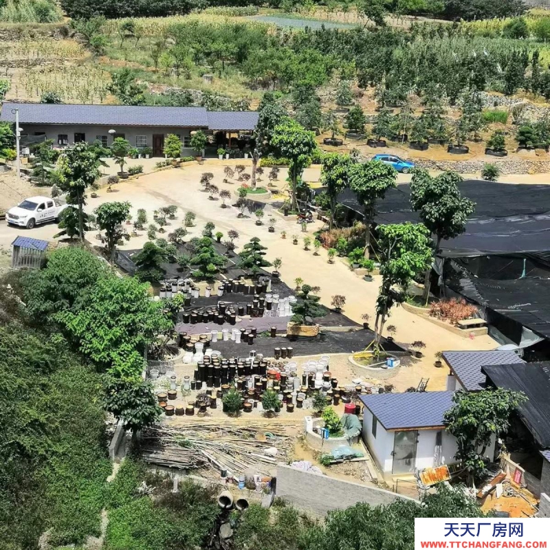 (出租) 花卉苗圃库房长期出租