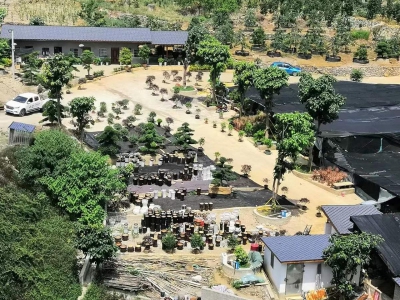 (出租) 花卉苗圃库房长期出租图2