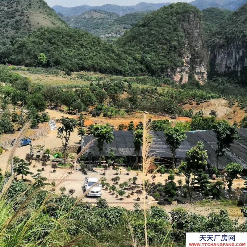 (出租) 花卉苗圃库房长期出租