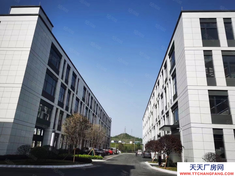 (出售) （首层8.1米）标准结构厂房出售 有产权，可定制