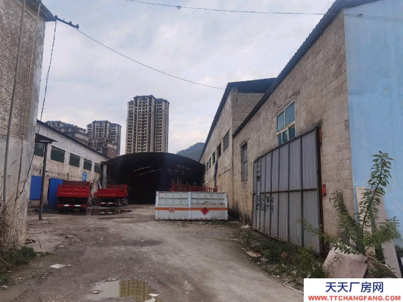 (出租) 租厂房，住房可免费提供，门面出租。