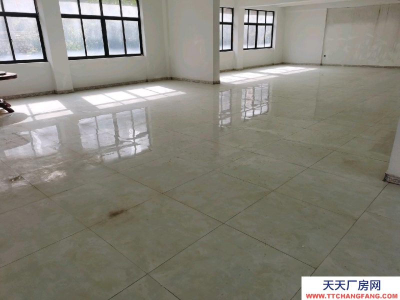 房屋简装修 每层270共3层出租