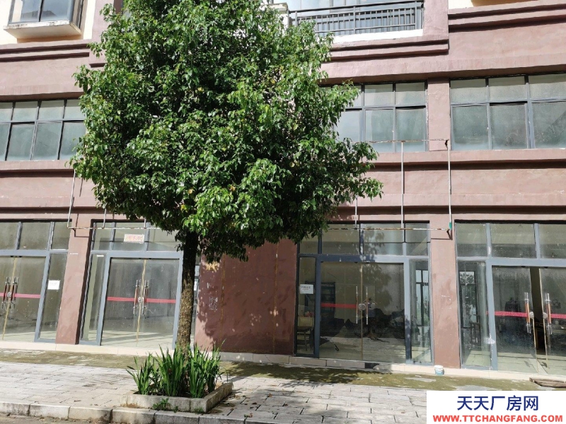 房屋简装修 每层270共3层出租
