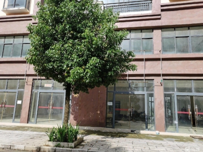 房屋简装修 每层270共3层出租图5