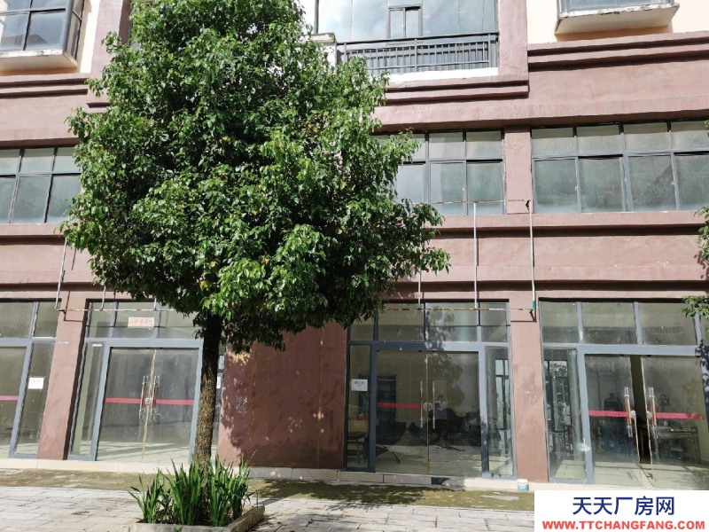 房屋简装修 每层270共3层出租