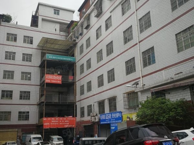 (出租) 数博大道旁金伍路65号一楼540平，420平.370平招租图1