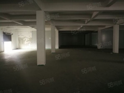 (出租) 数博大道旁金伍路65号一楼540平，420平.370平招租图3