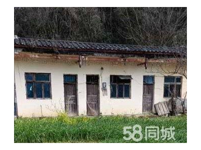 (出租) 贵州贞丰大碑乡者寸组沿公路厂房住房和场地出租图1