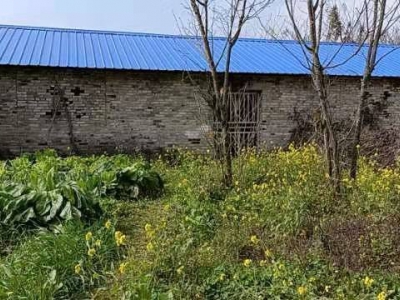 (出租) 贵州贞丰大碑乡者寸组沿公路厂房住房和场地出租图2