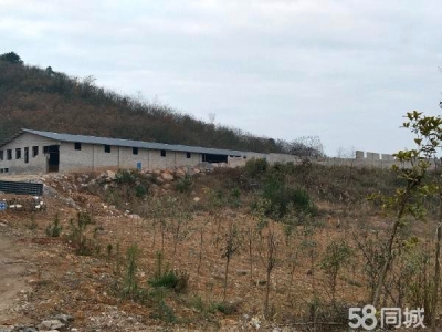 (出售) 养殖场出售，位于瓮安县猴场镇那乡村岩门组图3