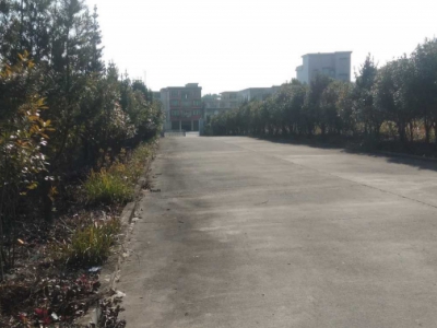 3100平米钢构厂房仓库招租图4