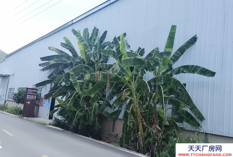 (出售) 生产厂房出租出售，价格可谈