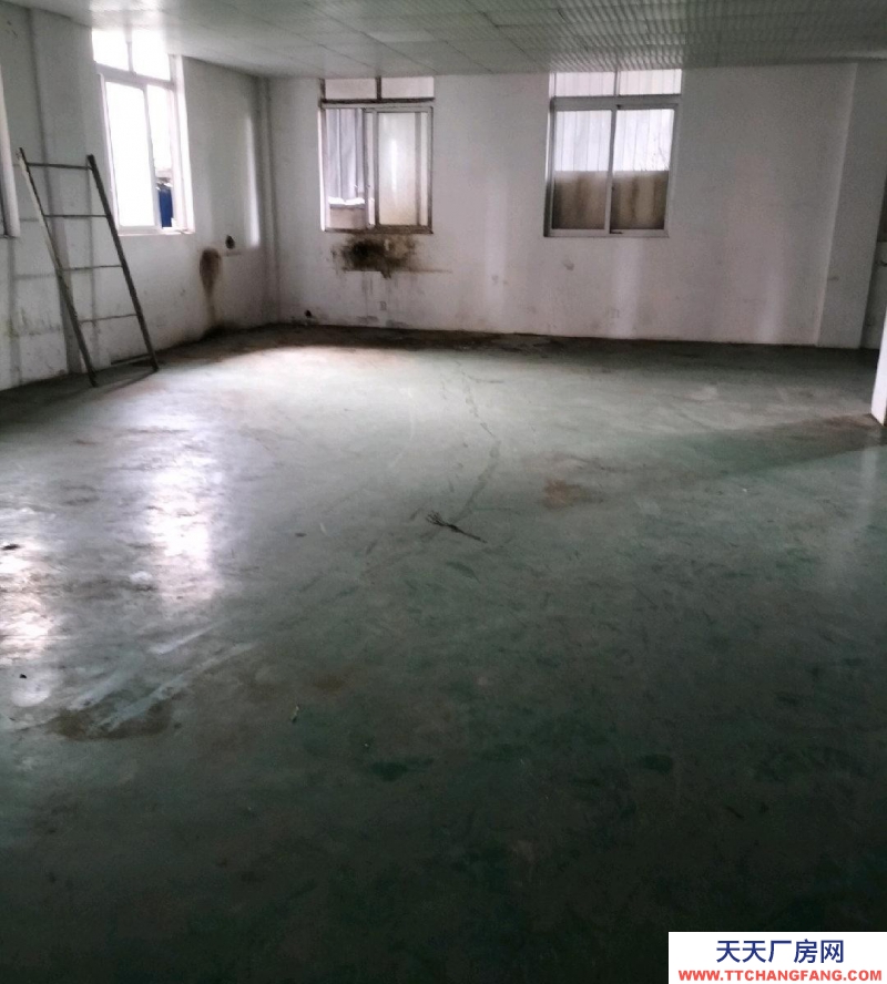 (出租) 自交建厂房，分割出租