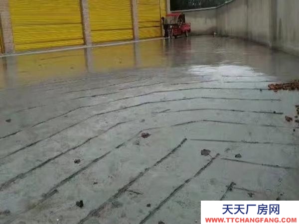 (出租) 可用于办公，电商，产品展示