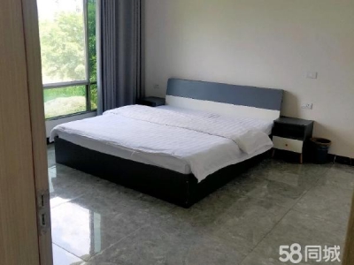 (出租) 可做小型加工厂，农家乐图6