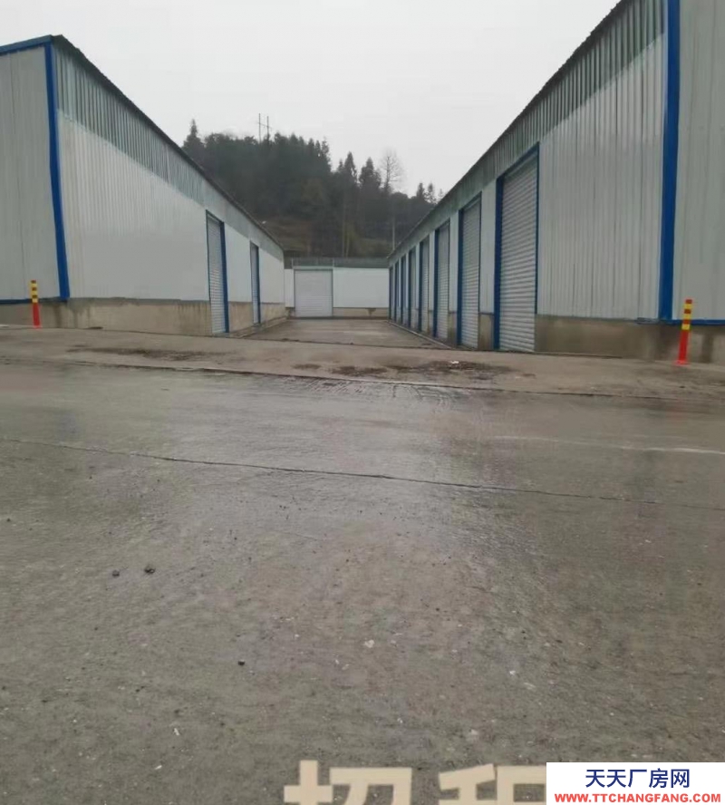 (出租) 都匀沙坝新建标准仓储，交通便利