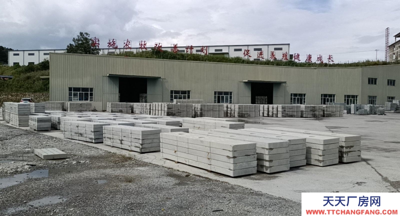 (出售) 两幢厂房一栋办公楼已装修好变压器已装好交通方便门口就是国道。