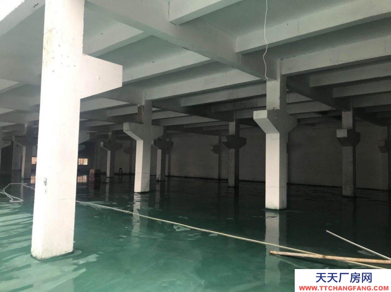 一千平砖混厂房带大小冷库