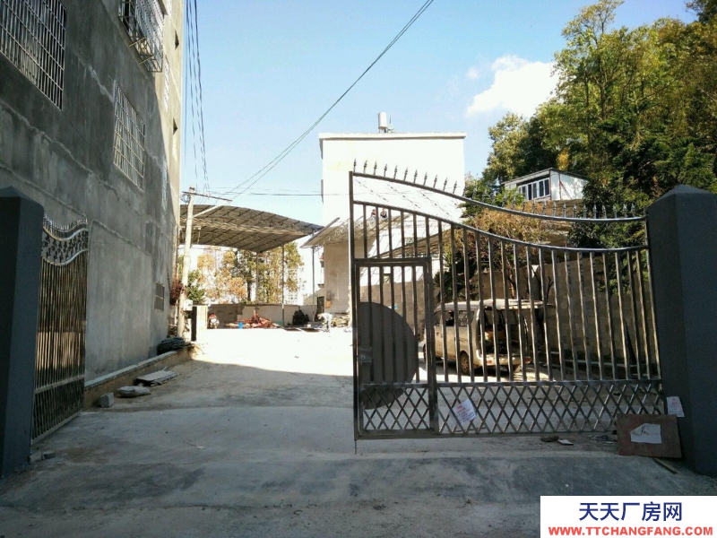 (出租) 黄泥寨！来银酒店斜对面 仓库 600平米