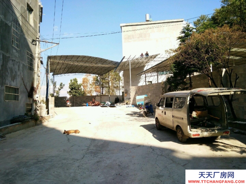(出租) 黄泥寨！来银酒店斜对面 仓库 600平米