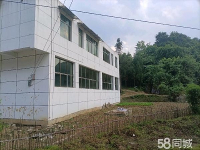 (出售) 楼下门面，楼上住房，是三层楼的地基，有条件还可加层图2