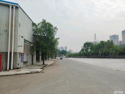 重庆九龙坡标准厂房 门口可进大车图5