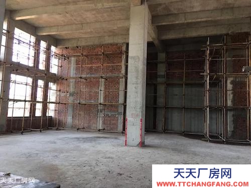 长沙市岳麓区准现房！长沙高新区精品小独栋，可研发生产办公仓储多功能使用