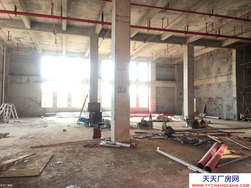 长沙市岳麓区含浦300-5000平标准厂房出租