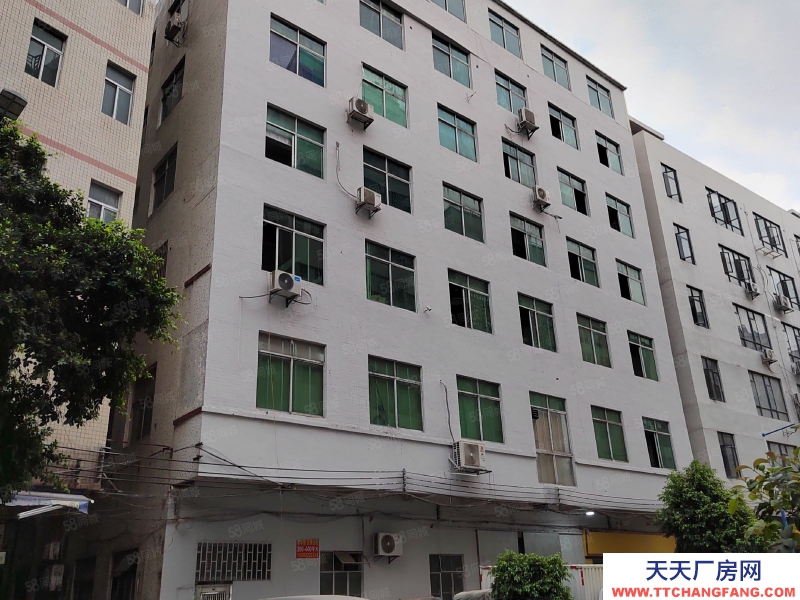 (出租)广州白云房东直租嘉禾望岗106国道边电梯550平方厂房