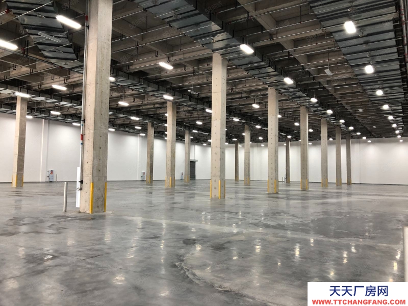 重庆江北标准库10000平 楼上十块